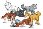 black_body black_fur brown_body brown_fur collar digitigrade feral fur grey_body grey_fur group male quadruped tail tongue white_body white_fur yellow_body yellow_fur wild_spirit_wolf wolf's_rain hige_(wolf's_rain) kiba_(wolf's_rain) nutmeg toboe_(wolf's_rain) tsume_(wolf's_rain) canid canine canis mammal wolf