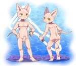 adolescent anthro balls butt genitals hairless male nude penis pose razor shaved shaved_arms shaved_fur shaved_tail smooth_skin solo tools young ofuro morenatsu shin_(morenatsu) domestic_cat felid feline felis hairless_cat mammal hi_res