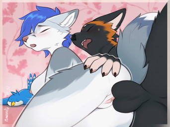 anthro anthro_on_anthro anthro_penetrated anthro_penetrating anthro_penetrating_anthro areola balls biped black_balls black_body black_fur breasts butt duo female female_penetrated fur genitals knot knot_fucking lying male male/female male_penetrating male_penetrating_female nipples nude nude_anthro nude_female nude_male penetration penile penile_penetration penis penis_in_vagina sex vaginal vaginal_penetration vulva mantucat gabriel_serealia north_(gabriel_serealia) wesley_(suave_senpai) canid canine enfield mammal 2025 2d_animation animated digital_drawing_(artwork) digital_media_(artwork) frame_by_frame hi_res