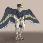 4_toes 5_fingers animal_genitalia anisodactyl anthro athletic athletic_anthro athletic_male avian_feet beak biped black_claws blue_eyes casque_(anatomy) claws countershade_face countershade_torso countershading digitigrade erection feathered_wings feathers feet fingers front_view genital_slit genitals gloves_(marking) grey_background grey_body grey_countershading grey_feathers grey_skin grey_stripes hand_on_hip hand_on_leg hand_on_thigh head_crest humanoid_hands leg_markings looking_away male markings multicolored_body multicolored_feathers nude penis pink_penis reverse_countershading scutes simple_background smile socks_(marking) solo spread_wings standing striped_markings striped_tail striped_wings stripes tail tail_feathers tail_markings talons tapering_penis toes white_body white_countershading white_feathers white_stripes wings yellow_beak yellow_body yellow_feathers yellow_stripes blindwatchman ali_(sanmer) avian bird bucerotiform hornbill rhinoceros_hornbill 1:1 2013 digital_media_(artwork) full-length_portrait portrait