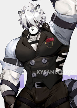anthro barazoku big_muscles bulge clothed clothing fur hair male muscular muscular_male muzzle_(object) pecs shirt solo topwear vest white_body white_fur white_hair xianyusamuel mihoyo zenless_zone_zero von_lycaon canid canine mammal thiren hi_res