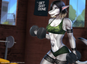 abs athletic athletic_female black_hair blonde_hair bodily_fluids bottomwear bra breasts clothing exercise female gym hair looking_at_viewer multicolored_hair navel non-mammal_breasts open_mouth sharp_teeth shorts solo sweat tattoo teeth text two_tone_hair underwear weightlifting window workout yellow_eyes winterblack laguna_silverjaw aquatic fish shark