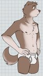 anthro belly biped briefs briefs_only brown_body brown_eyebrows brown_eyes brown_fur brown_nipples bulge checkered checkered_background clothed clothing colored_seam_underwear eyebrows fur grey_seam_briefs grey_seam_underwear grey_waistband hands_on_legs hands_on_thighs head_turned looking_at_viewer male male_anthro multicolored_body navel nipples partially_clothed partially_clothed_male pattern_background simple_background slim solo standing tan_body tan_fur tighty_whities topless underwear underwear_only whiskers white_background white_briefs white_clothing white_sclera white_underwear yellow_eyes unsafescapewolf 9:22_(visual_novel) spencer_(9:22) border_collie canid canine canis collie domestic_dog herding_dog mammal pastoral_dog sheepdog 2024 digital_drawing_(artwork) digital_media_(artwork) hi_res portrait three-quarter_portrait