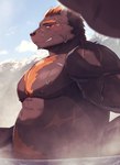 anthro barguest_(tas) bathing bear belly blush bodily_fluids brown_body brown_fur fur grin hair hi_res hot_spring lifewonders looking_at_viewer male mammal musclegut muscular nipples orange_hair partially_submerged pecs scar smile solo steam suna_sand1 sweat tokyo_afterschool_summoners water