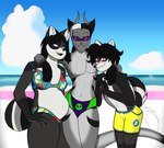 anthro arm_markings beach belly bikini bikini_bottom bikini_top black_hair blood blush bodily_fluids braided_hair brown_body brown_fur claws clothing cloud dark_body dark_fur dark_stripes ear_piercing ear_ring eyewear female femboy fur glasses grey_body group hair horn hug male male/female male/male markings nervous nervous_smile nosebleed overweight overweight_female piercing purple_eyes ring_piercing sea slim_male smile speedo sunglasses swimming_trunks swimwear tail tail_motion tailwag trio two-piece_swimsuit water white_body white_fur white_hair white_soles yellow_eyes davespaceman isamu_airi_(davespaceman) masaki_jiro_(davespaceman) zozi_nozrath_(davespaceman) alien canid canine deity humanoid mammal raccoon_dog tanuki umiyaena digital_media_(artwork) hi_res