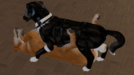 angry angry_sex animal_genitalia animal_penis asphyxiation balls black_body black_fur blind breath canine_genitalia canine_penis clothing deaf disability duo erection eyes_closed faceless_character faceless_male female female_penetrated feral feral_on_feral feral_penetrated feral_penetrating feral_penetrating_feral floor floppy_ears fluffy footwear fur futuristic_clothing futuristic_setting genitals glistening glistening_latex growling harness intraspecies knot knotted_penis latex latex_clothing latex_footwear latex_harness latex_hood latex_socks lying lying_on_ground male male/female male_penetrating male_penetrating_female multicolored_body multicolored_fur on_back on_ground panting penetration penile penile_penetration penis pointy_ears questionable_consent realistic_feral science_fiction sensory_deprivation sex sheath socks stretched_pussy tile tile_floor tongue tongue_out unable_to_speak vaginal vaginal_penetration white_body white_fur yellow_body yellow_fur anonyartist3d barkley_(canine_conundrum) unnamed_character border_collie canid canine canis collie domestic_dog herding_dog mammal pastoral_dog sheepdog shiba_inu spitz 16:9 3d_(artwork) digital_media_(artwork) hi_res widescreen