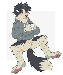 andromorph big_clitoris black_body black_fur black_nose bottomless cheek_tuft clitoris clothed clothing container cup facial_tuft floppy_ears front_view fur genitals grey_clothing grey_eyes grey_hoodie grey_topwear holding_container holding_cup holding_mug holding_object hoodie humanoid_genitalia humanoid_vulva intersex leg_tuft mouth_closed mug narrowed_eyes neck_tuft solo spotted_legs spread_legs spreading topwear tuft vulva white_body white_fur white_vulva yellow_sclera princelykaden kaden_(princelykaden) border_collie canid canine canis collie domestic_dog herding_dog mammal pastoral_dog sheepdog male_(lore)