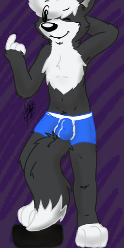 anthro balls_outline beckoning biped black_body black_ears black_fur black_nose blue_clothing blue_underwear boxer_briefs bulge chest_tuft clothing detailed_bulge digitigrade dipstick_tail eyebrow_through_hair eyebrows fur genital_outline gesture grey_inner_ear hair hand_behind_head male markings multicolored_body multicolored_fur one_eye_closed simple_background solo tail tail_markings translucent translucent_hair tuft two_tone_body two_tone_fur underwear white_body white_fur white_hair wink gaokun canid canine mammal 2015 watermark