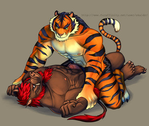 5_fingers 5_toes abs anthro anthro_on_anthro arm_grab athletic barefoot beard biceps big_muscles biped black_body black_bottomwear black_claws black_clothing black_eyebrows black_fur black_shorts black_stripes black_tail bottomwear brown_body brown_skin brown_tail chest_tuft claws clothed clothed_sex clothing duo erection eye_contact eyebrows facial_hair fangs feet fingernails fingers frottage fur genitals glans green_eyes grey_background grin hair humanoid_feet humanoid_genitalia humanoid_penis interspecies looking_at_another lying male male/male male_on_bottom male_on_top multicolored_body multicolored_fur multicolored_tail muscular muscular_male nails nipples no_sclera nude on_back on_bottom on_top orange_body orange_fur orange_tail pecs penile penis penis_poking_out penises_touching pink_glans pink_nipples pink_nose pink_penis pinned pinned_arms plantigrade red_body red_eyebrows red_fur red_hair sex shorts simple_background smile straddling striped_body striped_fur stripes tail tail_tuft teeth text toe_claws toenails toes topless tuft tusks white_body white_fur white_tail wrestling skaldr andrew_(rodrigojacobos) felid mammal pantherine suid suine sus_(pig) tiger wild_boar 2012 english_text url