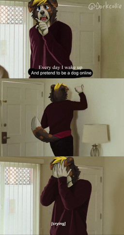 angry anthro clothed clothing gesture hand_gesture humor inside looking_at_viewer male movie_reference pointing pointing_at_viewer punch screaming solo sweater text topwear dorkcollie third-party_edit marriage_story border_collie canid canine canis collie domestic_dog herding_dog humanoid mammal pastoral_dog sheepdog absurd_res digital_media_(artwork) english_text hi_res meme screencap_edit watermark