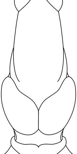 animal_genitalia canine disembodied_penis erection male mammal penis sheath toonfurry
Rating: Explicit
Score: 1
User: ToonFurry
Date: April 23, 2014