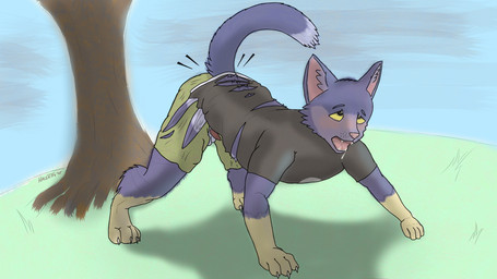 all_fours animal_genitalia animal_penis anthro balls blue_body blue_fur breath clothing erection feline_genitalia feline_penis fur genitals male panting penile_spines penis solo species_transformation tail_burst torn_clothing transformation halentfs casuallynoted cat_(casuallynoted) domestic_cat felid feline felis mammal 16:9 digital_media_(artwork) digital_painting_(artwork) hi_res painting_(artwork) widescreen