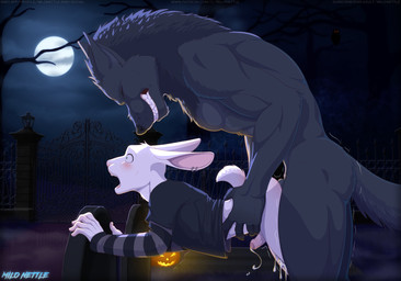 alternative_fashion anal anal_penetration anthro black_body black_fur bodily_fluids cemetery clenched_teeth cum cum_drip doggystyle dripping ear_piercing ear_ring emo erection eyes_closed femboy fence forced foreskin from_behind_position full_moon fur gate genital_fluids genitals goth half_clothed holidays humanoid_genitalia humanoid_penis jack-o'-lantern looking_pleasured male male/male male_anthro moon muscular muscular_male night nude open_mouth orgasm orgasm_face outside penetration penile penile_penetration penis penis_in_ass piercing precum raised_tail rape ring_piercing rough_sex scary sex shaking_legs shaking_orgasm shocked size_difference tail teeth tombstone white_body white_fur milo_nettle halloween mythology canid canine lagomorph leporid mammal monster mythological_canine mythological_creature rabbit werecanid werecanine werecreature werewolf