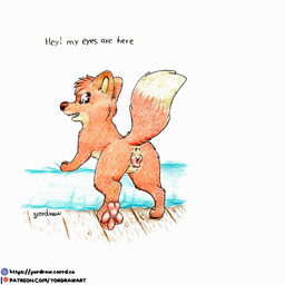 3_toes animal_genitalia animal_vulva anus butt canine_genitalia canine_vulva feet female feral fur genitals looking_back patreon_logo patreon_username pawpads paws pink_pawpads red_body red_fur smile solo spread_toes text toes vulva yordraw jungledyret_hugo patreon rita_(jungledyret) canid canine fox mammal red_fox true_fox 1:1 hi_res traditional_media_(artwork) url