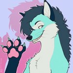 4_toes anthro black_nose blue_body blue_ears blue_fur claws clothed clothing countershading digit_ring digitigrade ear_piercing ear_ring eyebrows facial_markings feet foot_focus fur grey_mane hair head_markings inner_ear_fluff jewelry male mane mane_hair markings mask_(marking) monotone_hair monotone_mane multicolored_body multicolored_fur pawpads paws piercing pink_eyes pink_pawpads ring ring_piercing smile solo spread_toes teal_body teal_claws teal_fur toe_claws toe_ring toes tuft white_body white_countershading white_fur white_inner_ear_fluff white_markings kaibly_(kaibly) canid canine mammal maned_wolf hi_res