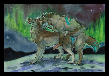 anal anal_penetration animal_genitalia animal_penis aurora_(phenomenon) black_border blue_eyes blue_markings blue_penis border brown_body brown_fur brown_horn canine_genitalia canine_penis duo erection fangs feral feral_on_feral feral_penetrated feral_penetrating feral_penetrating_feral from_behind_position fur genitals grey_body grey_fur horn knot knotted_penis male male/male male_penetrated male_penetrating male_penetrating_male markings mouth_closed outside penetration penile penile_penetration penis penis_in_ass red_penis red_tongue sex side_view star teeth tongue tongue_out yellow_eyes heatherwolf canid canine canis mammal wolf