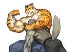 2022 absurd_res anthro anthro_on_anthro barazoku belt bent_over biceps big_muscles blush bottomwear canid canine canis clothed clothing coach_ho countershading domestic_dog duo eyebrows felid flexing fur furgonomics hi_res huge_muscles looking_at_muscles male male/male mammal muscle_worship muscular muscular_anthro muscular_male narrowed_eyes one_eye_closed pantherine pants pecs scar simple_background sitting size_difference smile teeth tiger topless topless_anthro topless_male traver009 triceps tuft vein veiny_muscles white_background