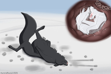 after_vore black_body black_fur digitigrade feral fur internal oral_vore organs squish stomach vore white_body white_fur aurorabound aurora_(aurorabound) canid canine fox mammal 3:2 hi_res