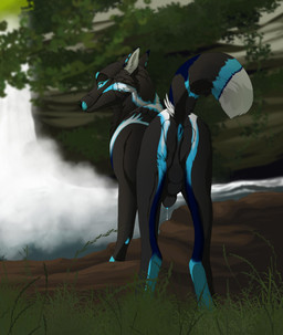 animal_genitalia anus balls black_balls black_body black_fur black_nose black_sheath blue_anus blue_body blue_eyes blue_fur blue_penis bodily_fluids dripping feral fur genital_fluids genitals grass knot knot_in_sheath looking_at_viewer looking_back male narrowed_eyes outside penis penis_tip plant precum precum_drip rear_view rock sheath solo unsigned waterfall white_body white_fur unbreakable-warrior canid canine canis mammal wolf hi_res