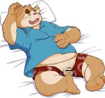 anthro balls belly brown_body brown_fur censor_bar clothing eyes_closed flaccid foreskin fur genitals ineffective_censorship kemono long_foreskin lying male overweight overweight_anthro overweight_male penis pillow shirt sleeping solo topwear underwear siretoko_panda canid canine canis domestic_dog mammal 2021 absurd_res censored hi_res