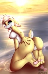 anthro anus beach breasts butt female genitals nipples non-mammal_breasts outside pussy seaside sex sex_on_the_beach solo summer sunset neonyx hybrid kobold lagomorph leporid mammal rabbit scalie lola_(disambiguation)