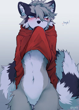 anthro black_nose blue_eyes blush bottomless bottomless_male clothed clothing clothing_lift ear_piercing facial_markings featureless_crotch fluffy fluffy_tail fur grey_body grey_fur head_markings hoodie industrial_piercing male markings mask_(marking) midriff navel null piercing raised_clothing raised_shirt raised_topwear shirt shirt_in_mouth shirt_lift slim small_waist solo striped_markings striped_tail stripes tail tail_markings topwear wide_hips spreekey lucas_(oonracc) mammal procyonid raccoon absurd_res hi_res