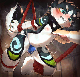anthro bdsm blue_eyes blush bodily_fluids bondage bound clenched_teeth clothed clothing erection erection_under_clothing fur hands_behind_back inside jockstrap jockstrap_only kemono male multicolored_body multicolored_fur navel nipple_fetish nipple_pinch nipple_play nipples offscreen_character pinch restraints rope rope_bondage solo_focus suspension suspension_bondage sweat teeth topless underwear underwear_only young young_anthro young_male sosak0622 mammal 2025 absurd_res hi_res