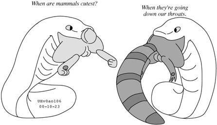 balls dialogue feral genitals group head_first humor larger_pred male male/male male_pred male_prey nude_pred nude_prey oral_vore raccoon_tail scut_tail short_tail size_difference tail text vore willing_pred urbanhermit lagomorph leporid mammal procyonid rabbit raccoon reptile scalie snake 2000 dated english_text greyscale monochrome