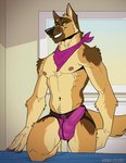 animal_genitalia animal_penis anthro balls bulge canine_genitalia canine_penis clothed clothing detailed_bulge erection erection_under_clothing genital_outline genitals jockstrap kerchief knot male muscular muscular_anthro muscular_male navel neckerchief neckwear nipples pecs penis penis_outline purple_clothing purple_underwear solo tenting underwear kihu aniel canid canine canis domestic_dog german_shepherd herding_dog mammal pastoral_dog 2020