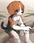 2017 abs anthro athletic athletic_anthro athletic_male beagle blue_eyes canid canine canis claws clothed clothing countershading domestic_dog hunting_dog kemono leaf_clothing male mammal muscular muscular_young outside pawpads pecs scent_hound sitting solo stick topless unrealplace young young_anthro