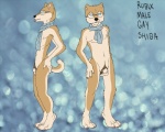 animal_genitalia anthro balls eyewear fully_sheathed genitals glasses male nude penis pubes scarf sheath side_view solo tail tongue tongue_out basillicus canid canine canis domestic_dog mammal shiba_inu spitz 5:4 hi_res model_sheet