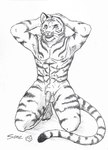 anthro balls fangs genitals hand_on_head holding_head kneeling male nipples nude open_mouth penis short_fur simple_background solo tail teeth whiskers white_background some_(someone) felid mammal pantherine tiger absurd_res graphite_(artwork) hi_res pencil_(artwork) traditional_media_(artwork)