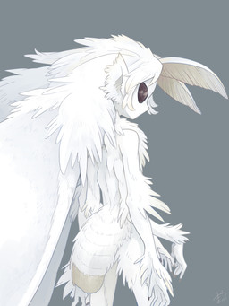 4_arms ambiguous_gender anthena anthro arthropod_abdomen black_eyes fur fuzzy looking_back multi_arm multi_limb solo white_body white_fur white_wings wings yamanobe arthropod insect lepidopteran moth 3:4 digital_drawing_(artwork) digital_media_(artwork) hi_res shaded soft_shading