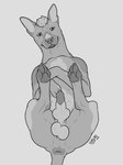 anatomically_correct anatomically_correct_genitalia animal_genitalia anus balls belly blep canine_genitalia chest_markings feral genitals hair hairless knot knot_in_sheath knotted_penis lighter_belly lipsticking lying male markings mole_(marking) on_back pawpads penis puckered_anus sheath simple_background solo spots spotted_markings tail tail_anus tongue tongue_out sketchy_shelby pinto_(pantherwaltz) canid canine canis domestic_dog hairless_dog mammal primitive_dog xoloitzcuintli absurd_res hi_res monochrome