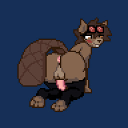 anthro anus balls beaver_tail black_clothing black_legwear black_thigh_highs blush brown_eyes brown_hair butt clothing eyewear femboy genitals goggles hair legwear looking_back male paws penis presenting presenting_anus red_eyewear red_goggles shaking_butt smile solo thigh_highs bitassembly cotton_(cottonthebeaver) beaver mammal rodent 1:1 animated digital_media_(artwork) low_res pixel_(artwork) pixel_animation