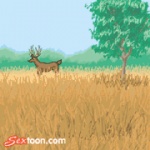 animated balls bestiality cervine deer feral field gay hair hooves human hunter interspecies male masturbation outside penis sextoon shot what white_hair
Rating: Explicit
Score: -1
User: ktkr
Date: May 08, 2010
