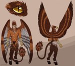 anthro bandage bandaged_arm beak biceps blue_eyes brown_body claws clothing dark_body feathered_wings feathers feet legwear male muscular muscular_anthro muscular_male muscular_thighs solo talons tan_body thigh_highs toes wings wingspan tvard european_mythology greek_mythology mythology lukasz_(lukka9090) accipitrid accipitriform avian bird eagle equid equine falcon falconid gryphon harpy hippogriff horse mammal mythological_avian mythological_creature hi_res model_sheet