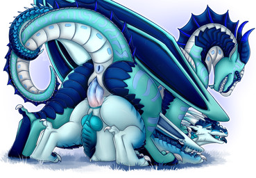 anal anal_penetration animal_genitalia anus blue_body butt claws doggystyle duo erection fangs feral feral_on_feral feral_penetrated feral_penetrating feral_penetrating_feral finger_claws from_behind_position genital_slit genitals knot knotted_penis long_neck looking_pleasured male male/male male_penetrated male_penetrating male_penetrating_male membrane_(anatomy) membranous_wings penetration penile penile_penetration penis penis_in_ass sex sharp_teeth snout tail tail_coil teeth toe_claws white_body wings arkadesart mythology wings_of_fire blizzard_(squeed2115) deino_(nie_lao) dragon icewing_(wof) mythological_creature mythological_scalie scalie seawing_(wof) hi_res shaded