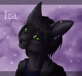 anthro black_body black_fur black_hair black_nose ear_piercing ear_ring fur green_eyes hair male piercing ring_piercing smile solo lynjox domestic_cat felid feline felis mammal 2015 digital_media_(artwork) headshot_portrait hi_res portrait