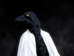 anthro beak black_background black_beak black_body black_feathers clothed clothing dark dark_body detailed_feathers dress_shirt feathers fog glistening glistening_body glistening_eyes male open_clothing open_shirt open_topwear orange_eyes realistic realistic_anatomy realistic_lighting realistic_shading shirt simple_background solo topwear dreamscreep princess_tutu mytho_(princess_tutu) avian bird corvid oscine passerine 4:3 absurd_res detailed digital_media_(artwork) digital_painting_(artwork) hi_res procreate_(artwork)