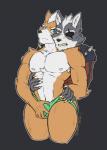 anthro canid canine canis clothed clothing duo fox fox_mccloud fully_clothed green_clothing green_jockstrap green_underwear grope hi_res jockstrap male male/male mammal muscular muscular_male nintendo nipples nude star_fox summercometz underwear wolf wolf_o'donnell