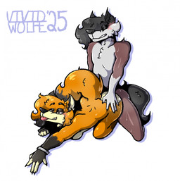 anthro black_body black_fur black_hair bodily_fluids bracelet breasts brown_body brown_fur doggystyle duo female fingers fox_tail from_behind_position fur gloves_(marking) hair hand_on_butt jewelry male male/female markings multicolored_body multicolored_fur nude nude_anthro nude_female nude_male orange_body orange_fur orange_hair sex simple_background smile tail tongue tongue_out white_body white_fur thewolfever jolene_jones vivid_wolfe_(character) canid canine canis fox mammal wolf 2025 digital_media_(artwork) hi_res