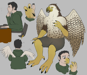 5_fingers anthro beak beak_growth beard before_and_after black_hair bodily_fluids bottomwear clothing exclamation_point facial_hair feathered_wings feathers fingers grey_background growth hair hoodie human_to_anthro male short_hair shorts simple_background sitting smile solo species_transformation surprised sweat sweatdrop topwear transformation transformation_sequence wing_growth wings see-saw avian bird falcon falconid human mammal 2015 sequence