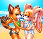 anthro beach bedroom_eyes beverage blush bottomwear breasts bubble_tea clothing duo eyelashes female hotpants looking_at_viewer midriff narrowed_eyes one-piece_swimsuit seaside seductive shorts small_breasts swimwear tankini two-piece_swimsuit young michiyoshi sega sonic_the_hedgehog_(series) cream_the_rabbit marine_the_raccoon lagomorph leporid mammal procyonid rabbit raccoon 2023