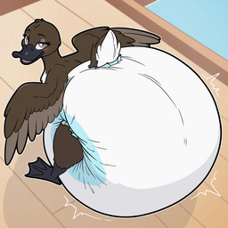 big_diaper brown_body brown_eyes clean_diaper clothed clothing diaper eyebrows eyelashes feathered_wings feathers female feral high-angle_view huge_diaper hyper_diaper looking_at_viewer small_tail solo tail wearing_diaper white_diaper wings nineplusten anatid anseriform avian bird duck 1:1