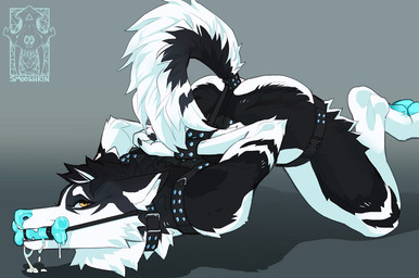 anthro ass_up bdsm bent_over biped black_body black_fur black_mane blue_nose blue_pawpads bodily_fluids bondage bone_gag bound clothed clothing collar cuff_(restraint) diamond_(gem) drooling fluffy fluffy_tail fur gag gagged gem grey_body grey_fur handcuffs hands_behind_back harness kneeling leather male mane metal_cuffs nude on_ground orange_eyes partially_clothed pawpads paws raised_tail restraints saliva shackles skimpy solo studded_collar studs submissive submissive_male tail teeth smooshkin hades_(smooshkin) canid canine canis domestic_dog husky mammal nordic_sled_dog siberian_husky spitz 2017 digital_media_(artwork)