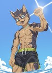 abs anthro biceps bulge clothed clothing male muscular muscular_male pecs scar sea solo swimming_trunks swimwear topless water wet leeksaltboy xiaozhuang_(leeksaltboy) canid canine canis domestic_dog mammal hi_res