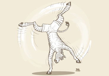 anthro boxer_briefs cartwheel clenched_teeth clothed clothing fur hooves male mane markings smile solo striped_body striped_fur striped_markings striped_tail stripes tail tail_markings tail_tuft teeth tuft underwear underwear_only upside_down wide_eyed dragontzin equid equine mammal zebra 2026 hi_res signature
