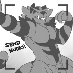 anthro barazoku camera camera_view flaccid flexing genitals male muscular muscular_anthro muscular_male penis simple_background solo text white_background kairyu211 nintendo pokemon generation_7_pokemon incineroar pokemon_(species) 1:1 greyscale monochrome sketch