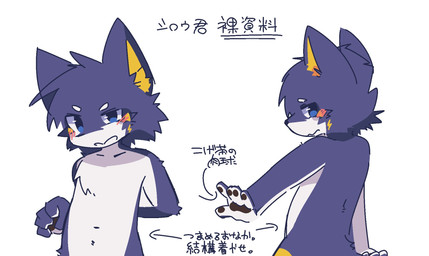 5_fingers anthro blue_body blue_fur blush blush_lines fingers front_view fur hand_behind_back inner_ear_fluff male multicolored_body multicolored_fur nude pawpads side_view simple_background solo text tuft white_background white_body white_fur yellow_body yellow_fur yellow_inner_ear_fluff ranshinumeda334 inuyama_shirou canid canine canis mammal wolf 2024 hi_res japanese_text